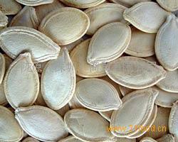 深圳白瓜今日价格,市场行情一览”