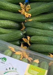 今日小确幸种瓜得瓜,小确幸的奇妙循环