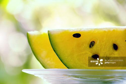 今日面瓜价格最新行情,价格波动解析与市场趋势洞察