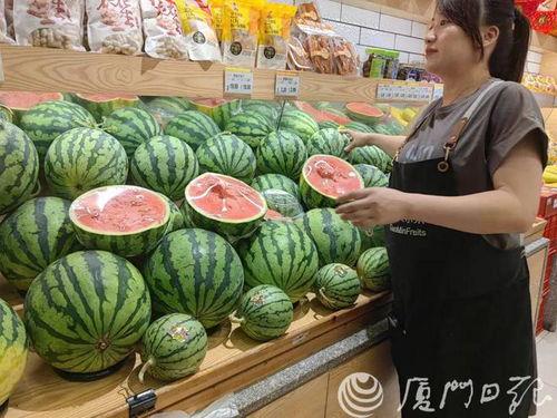 今日面瓜价格最新行情,价格波动解析与市场趋势洞察