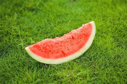 吃黑瓜舌头麻怎么办,黑瓜食用后舌头麻木应对攻略