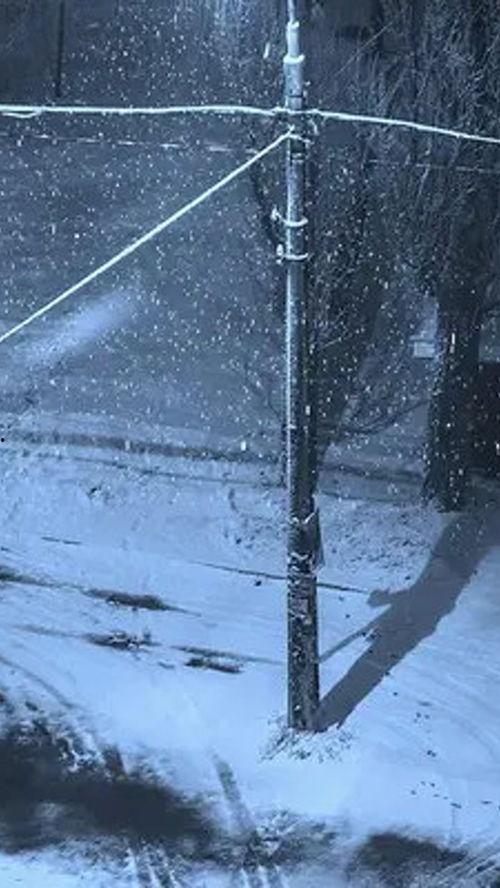 下雪的视频,冬日雪景视频赏析