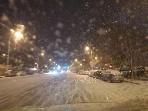 下雪的视频,冬日雪景视频赏析