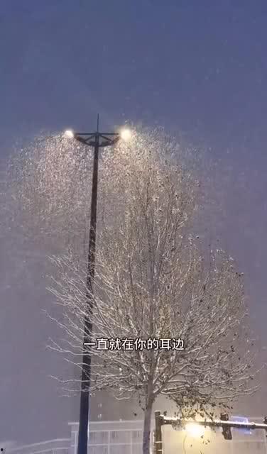 下雪的视频,冬日雪景视频赏析
