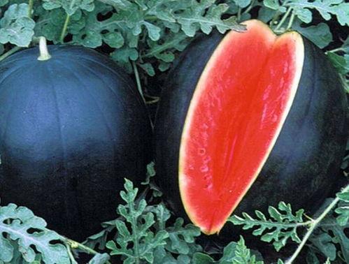 二黑吃瓜,揭秘娱乐圈背后的那些事儿