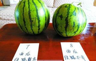 二黑吃瓜,揭秘娱乐圈背后的那些事儿