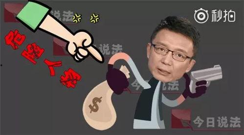 今日说法吃瓜直播,网络舆论场上的法律盛宴