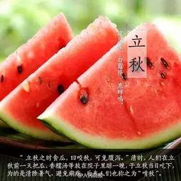 忽审今日立秋 买瓜讨