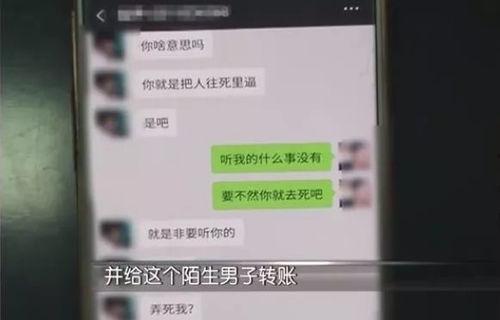 两性视频网站,揭秘热门视频网站的魅力与影响