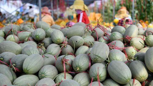 沙漠蜜瓜批发市场今日行情,甜蜜价格波动解析
