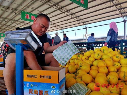 沙漠蜜瓜批发市场今日行情,甜蜜价格波动解析