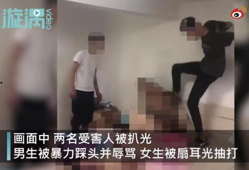 男女性关系视频,视频内容深度解析