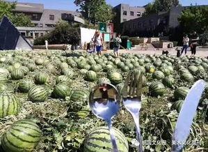 天津美院吃瓜爆料事件,揭秘校园风波背后的真相