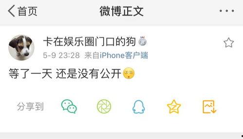 吃瓜爆料微信号是什么,揭秘娱乐圈幕后真相