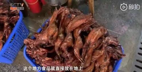 爆料网红黑历史吃瓜鸭