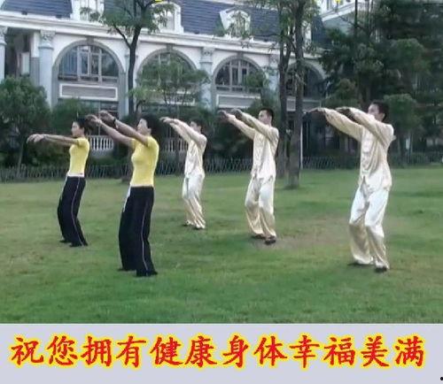 老年人健身操视频,跟随健身操视频，轻松享受健康生活