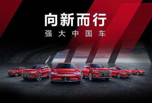 比亚迪今日最大的瓜