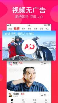 吃瓜爆料原声视频下载,独家下载解析