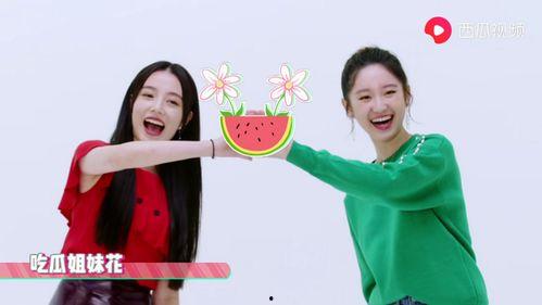 呆妹吃瓜爆料视频大全集,揭秘娱乐圈那些不为人知的秘密