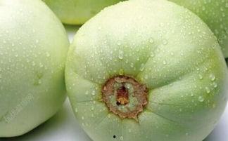 糖尿病吃黑瓜有效吗,效果如何？