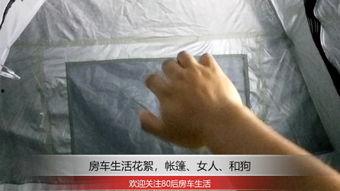 女人与动物性交视频,揭秘人类与动物性行为的禁忌真相