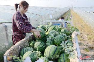 山东最新吃瓜爆料新闻