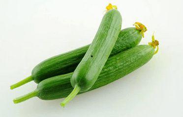 今日小乳瓜价格,市场行情一览”