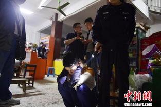 成人色情免费视频,暗流涌动的网络世界