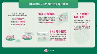 今日吃瓜消费报告最新,揭秘瓜界新趋势，消费市场再掀热潮