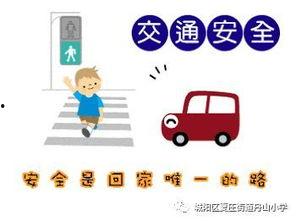 交通安全视频,揭示行车安全要点与事故预防策略