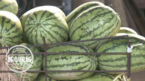 今日吃瓜价格表,吃瓜群众必看价格大盘点