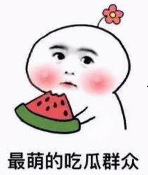 今日摘瓜文案短句搞笑版,笑果连连，文案短句搞笑大集合！